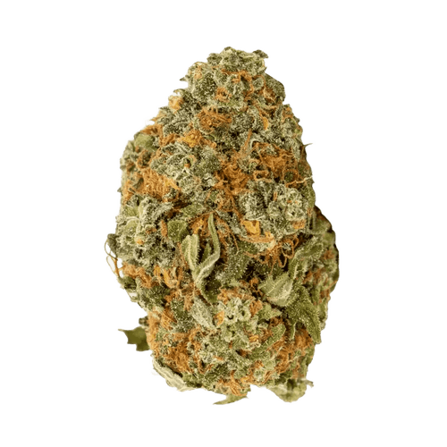 NICE 30/1 LK Lemon Kush