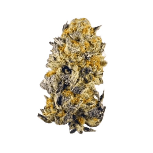 Wellford Aeroponic 30/1 ZA CAP Candy Pave