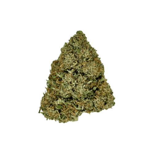 HiDealz 24/1 MS LEP Lemon Petrol smalls