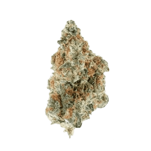 LIT 27/1 FOG Florida OG