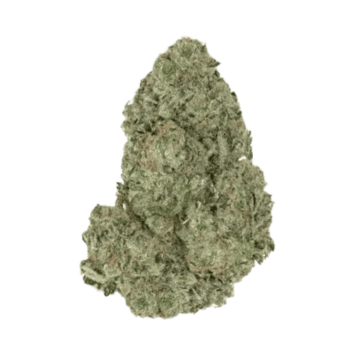 Slouu 25/1 AGM CA SBH Strawberry Haze