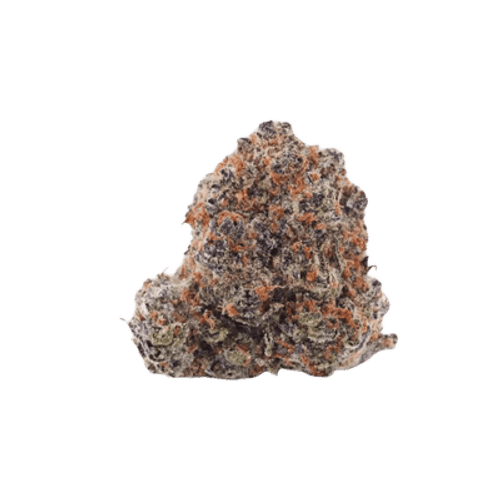 Apollo 25/1 PSI Black Rainbow Sherbert