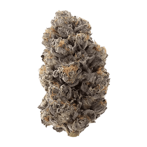 frdm 27/1 SLU Slurricane