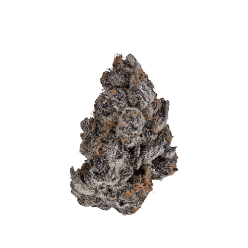 Bathera 29/1 CA SB Super Boof