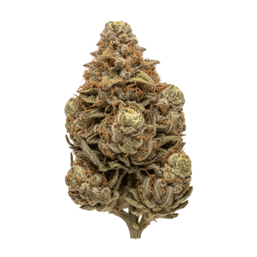 Cannamedical Hybrid Forte KA Citrus Candy Kush