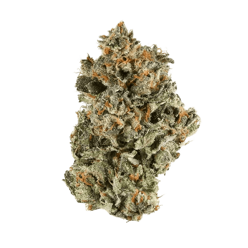 LIT 27/1 SH Sunset Sherbert