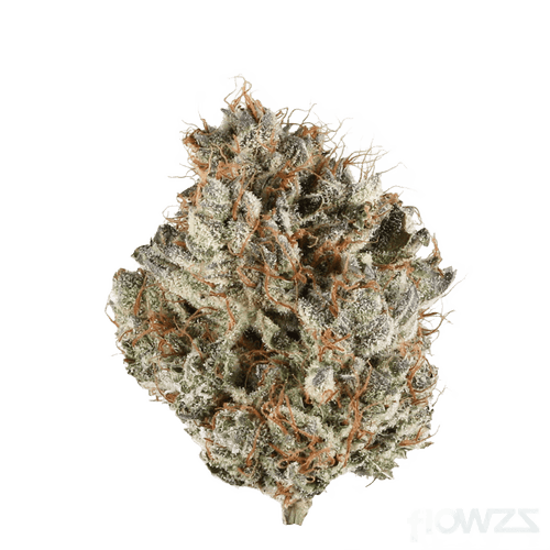 Remexian 27/1 TWE BOG Blueberry OG