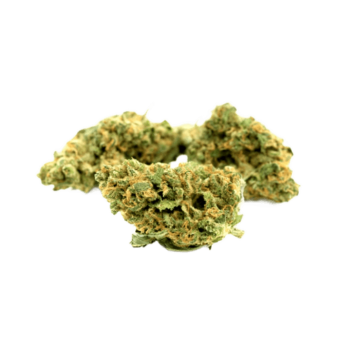 Weeco 20/1 White Widow