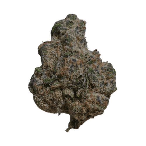 AMP Trichome Acai THC24 Acai Jelly