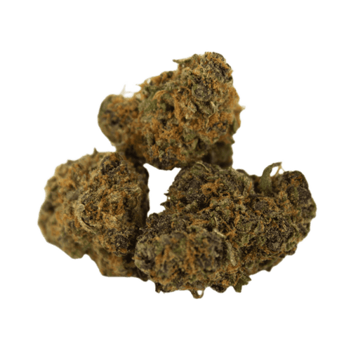 LOT 420 GLOC 29/1 Gelato x Orange Cake