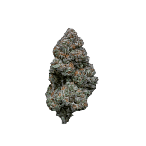 187 Cannabisflower RS11 THC 25 Rainbow Sherbert #11