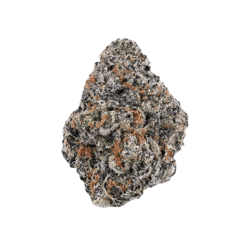 IMC Token GC THC23 Gorilla's Chocolate