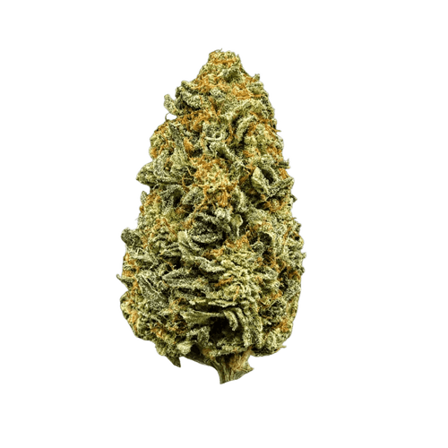 Bud-Jet 18/1 SUS Sunset Sherbet