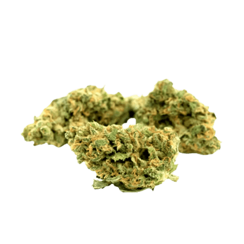 Weeco 1A 18/1 WW White Widow