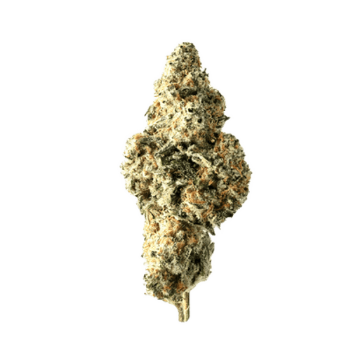 Demecan PS Strong Drop GMO x Han Solo Burger
