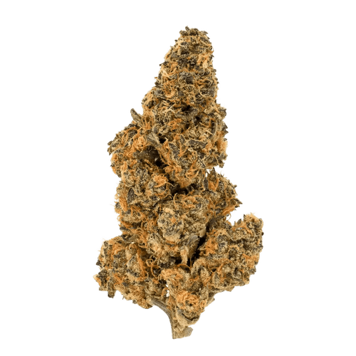 High Greens SG 25/1 Sunset Gas
