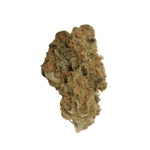 30/1 Amici SLH Super Lemon Haze