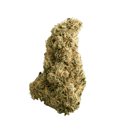 Sinceritas Sativa Verum 24/1 BG Blueberry Gelato