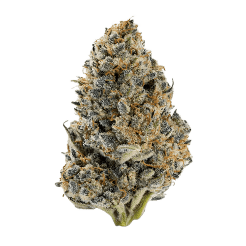 Cannamedical Hybrid Forte KA Gelato Lemon