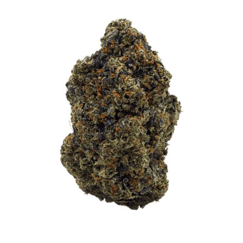 Beacon PK T24 Pink Kush