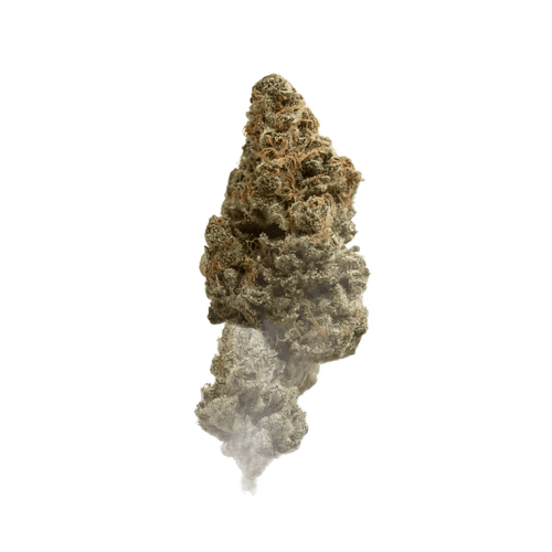 Demecan Core Sunshine Pure 22:01 Tropicana Cookies