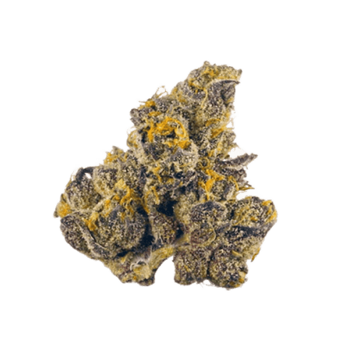 Legend's GZ 32/1 Garlic Zkittlez