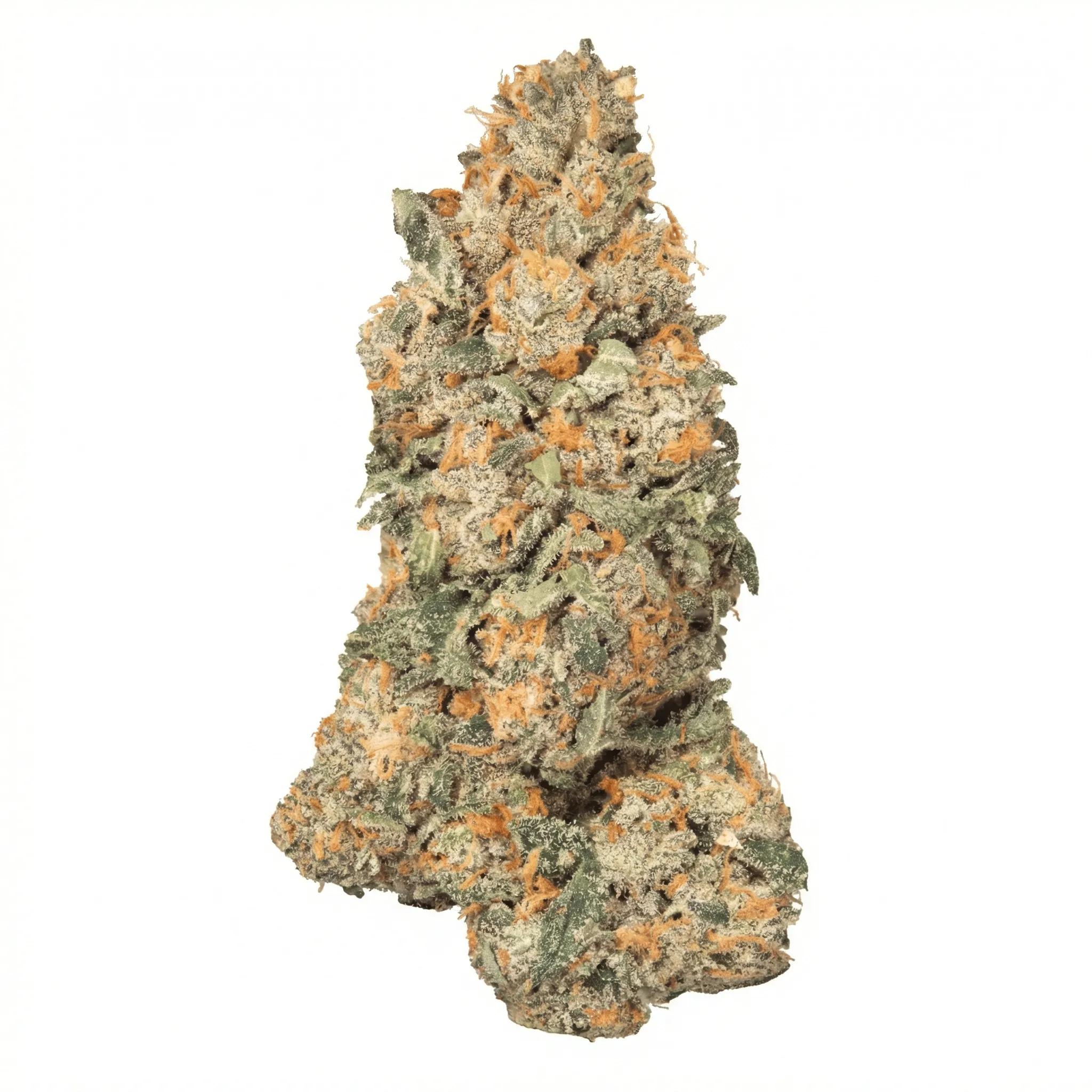 CRQSH GKY 30/1 Gas Monkey