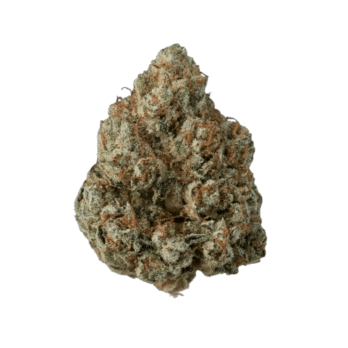 avaay Khalifa 32/1 KK Khalifa Kush