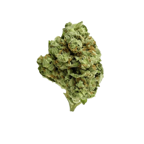 Cannamedical Sativa forte Ghost Train Haze