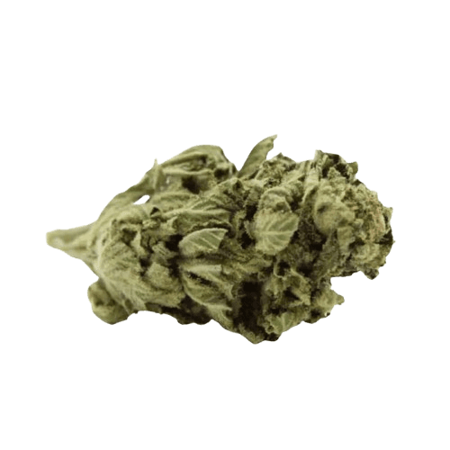 Tweed 22/1 Jack Herer