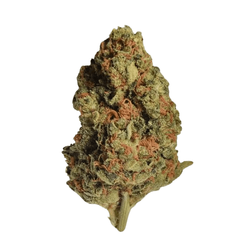IMC HDK THC26 Chevy OG