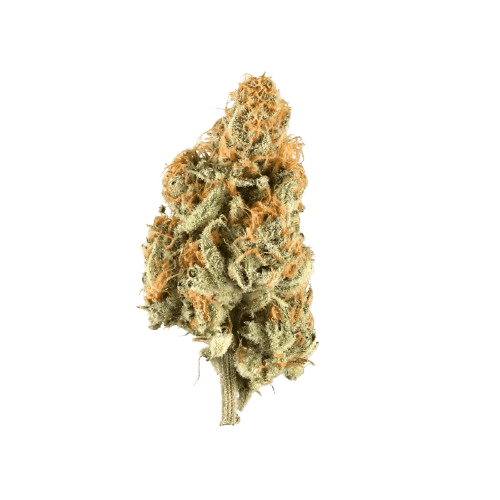 ZOIKS 26/1 LK OG Lime Kush