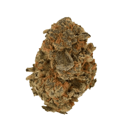 Cannamedical Sativa Classic Fast Orange