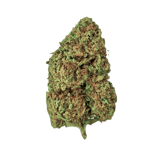 Avant 24/1 CCR Lemon Jane