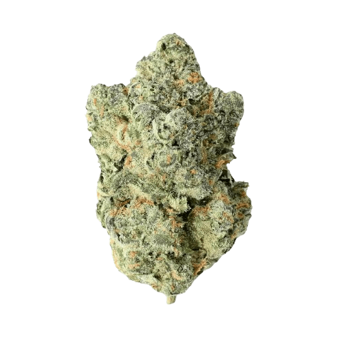 Canify 25/1 POR Ku. Moroccan Peaches