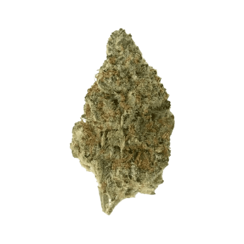 Remexian 20/1 GJY FCO Frosted Cookies