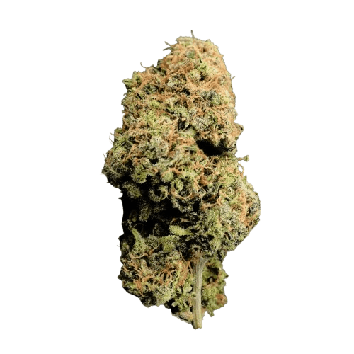 Breezy Organics GGL 22/1 Green Gelato