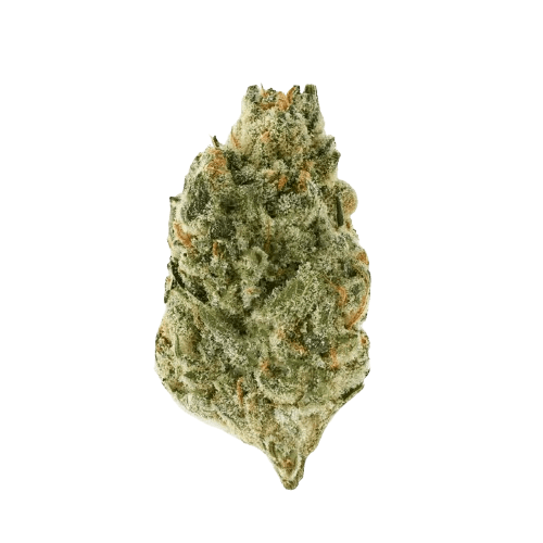 THC AKUT MG 24 BCP Black Cherry Punch