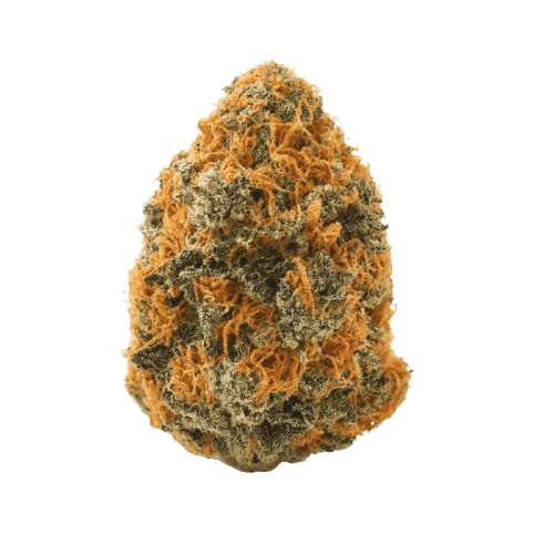 IMC IF THC26 Infinity Fuel