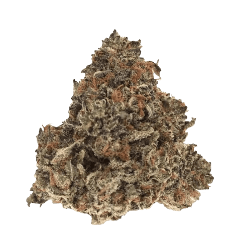 Nimbus easy 22/1 Gelato