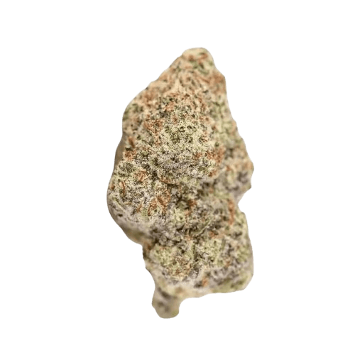 CM Sativa Classic NM