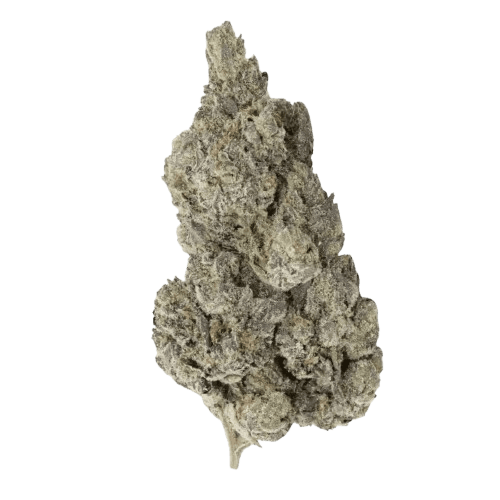 Vasco PR 25/1 Pave Runtz