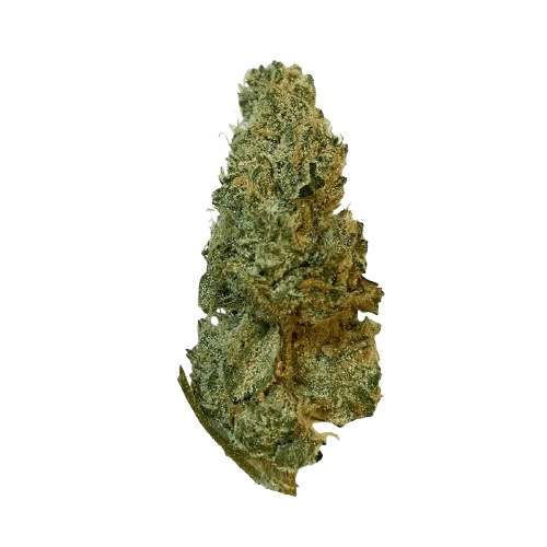 420 Evolution 25/1 CA GMO Cookies