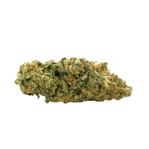 Weeco Duke 24/1 Purple Rain