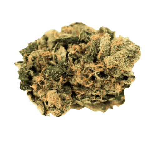Cannamedical Indica Forte DK