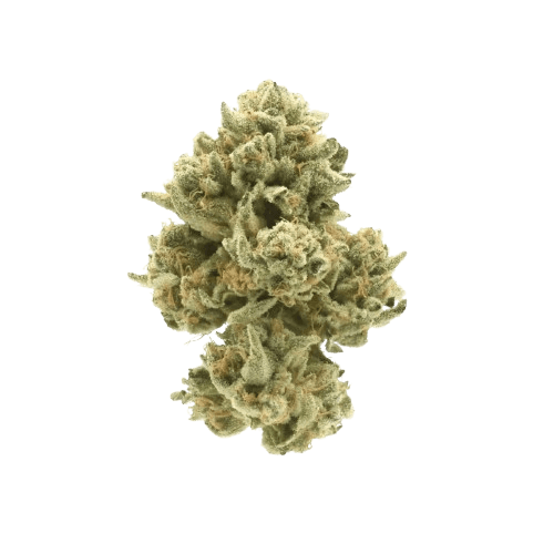 Breezy Organics RB 22/1 Rainbow Belts