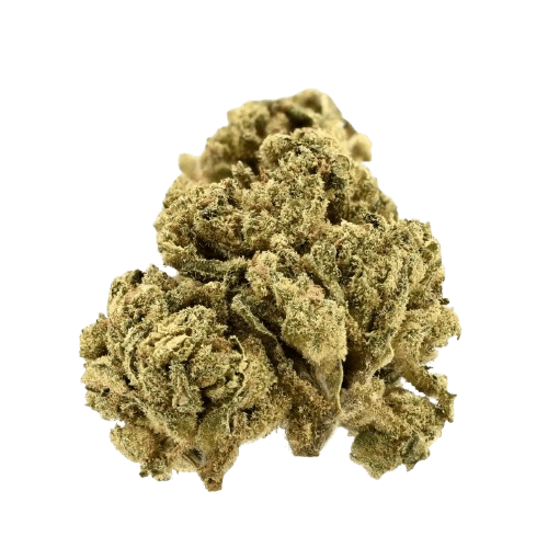 TRUU HS 26/01 Citron Cookies