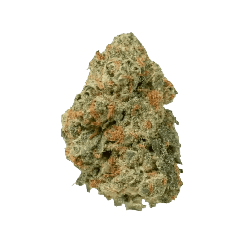 Medical Saints 27/1 LEM Lemonatti