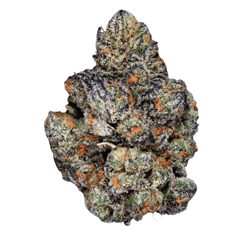 aleph purple 26/1 Straight Candy Gas