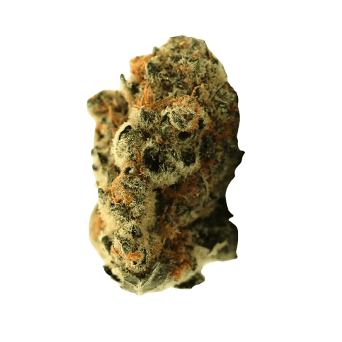 Demecan 22:01 Florestura Super Haze X Amnesia